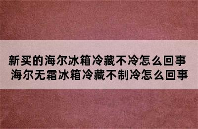 新买的海尔冰箱冷藏不冷怎么回事 海尔无霜冰箱冷藏不制冷怎么回事